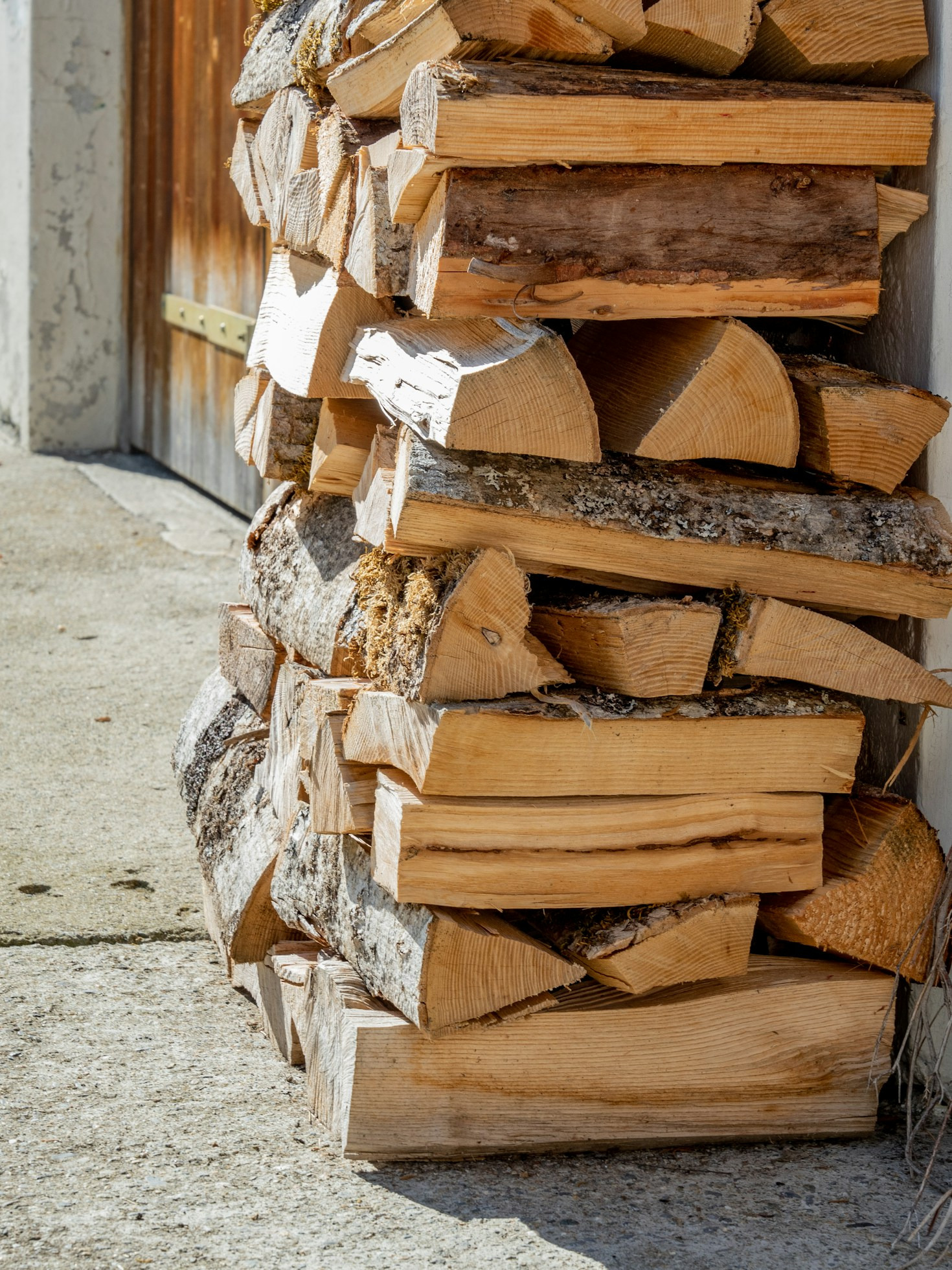 Die besten Holzarten für ein schönes Kaminfeuer