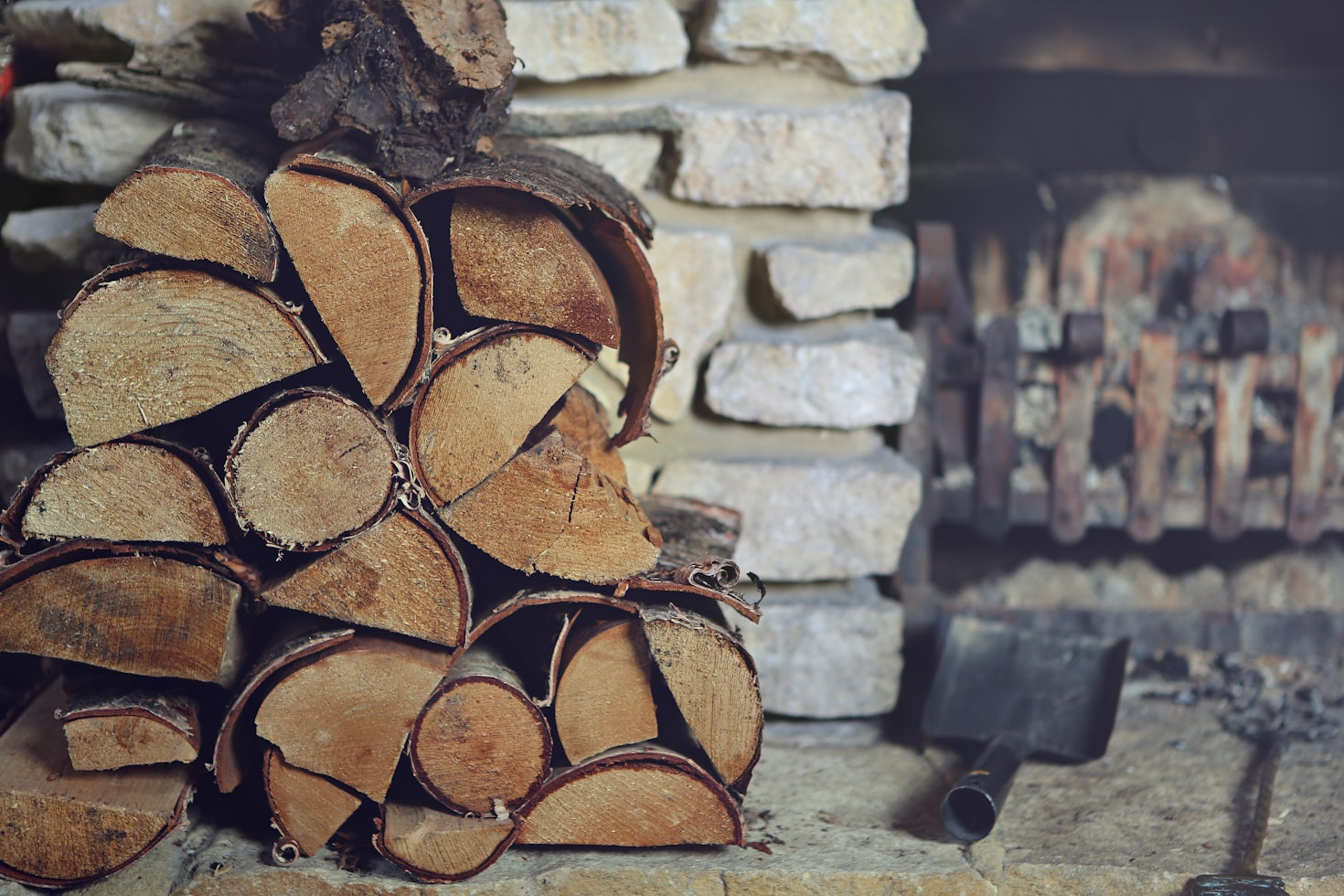 Vorbereitung auf den Winter mit Baumhecker Holz